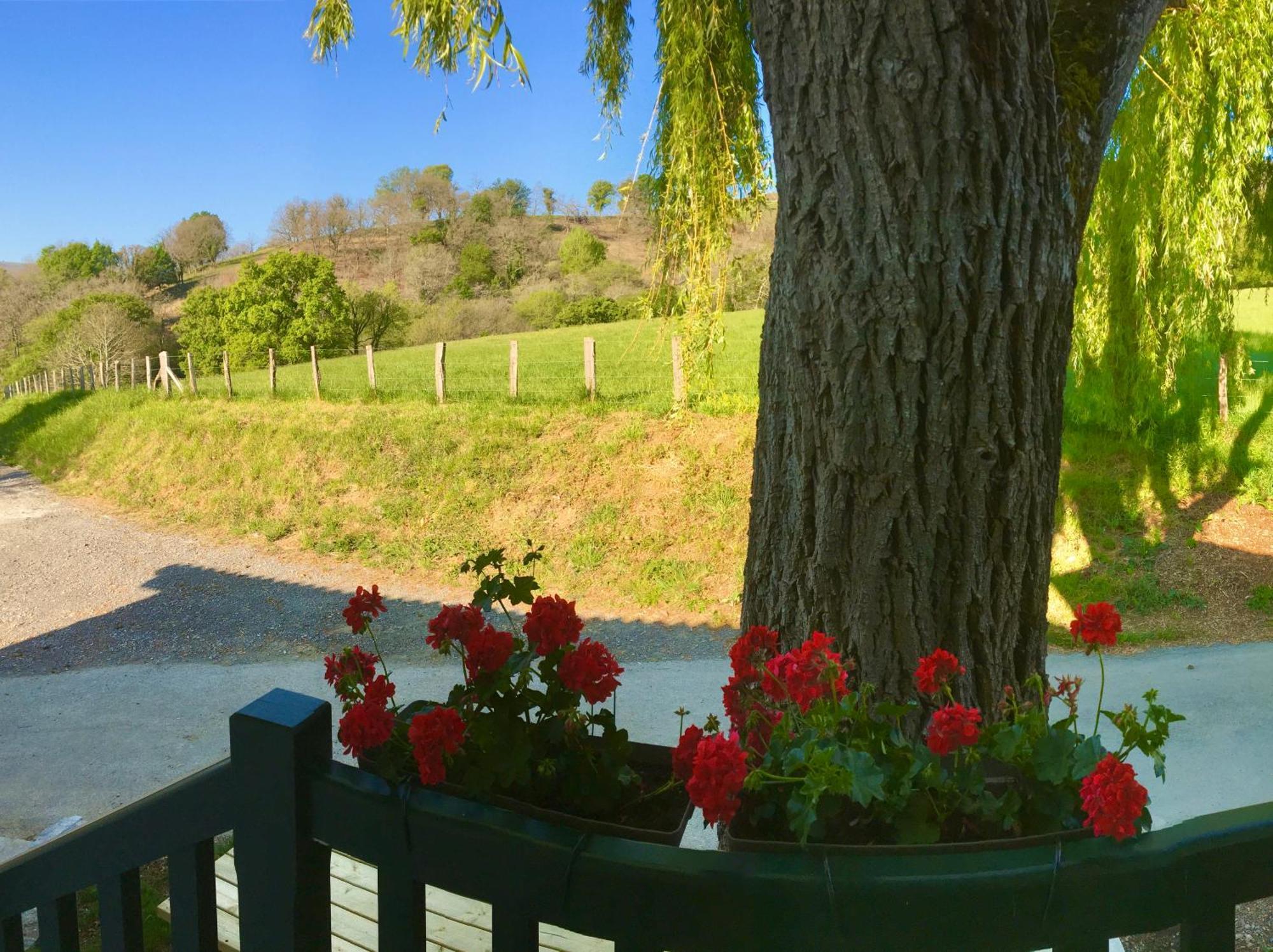 Apartamento La Grange D'Etxexuria Lantabat Exterior foto